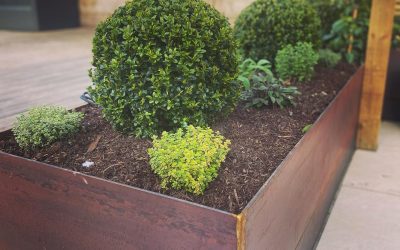 Steel Planters Knutsford